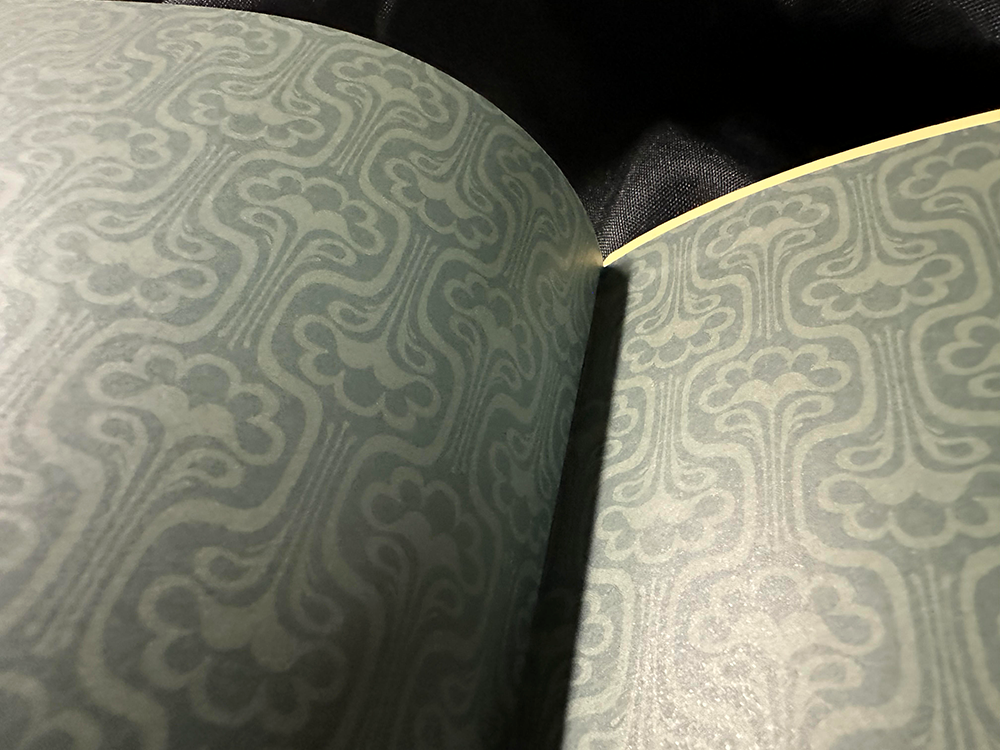 The Girl Who Flew Away