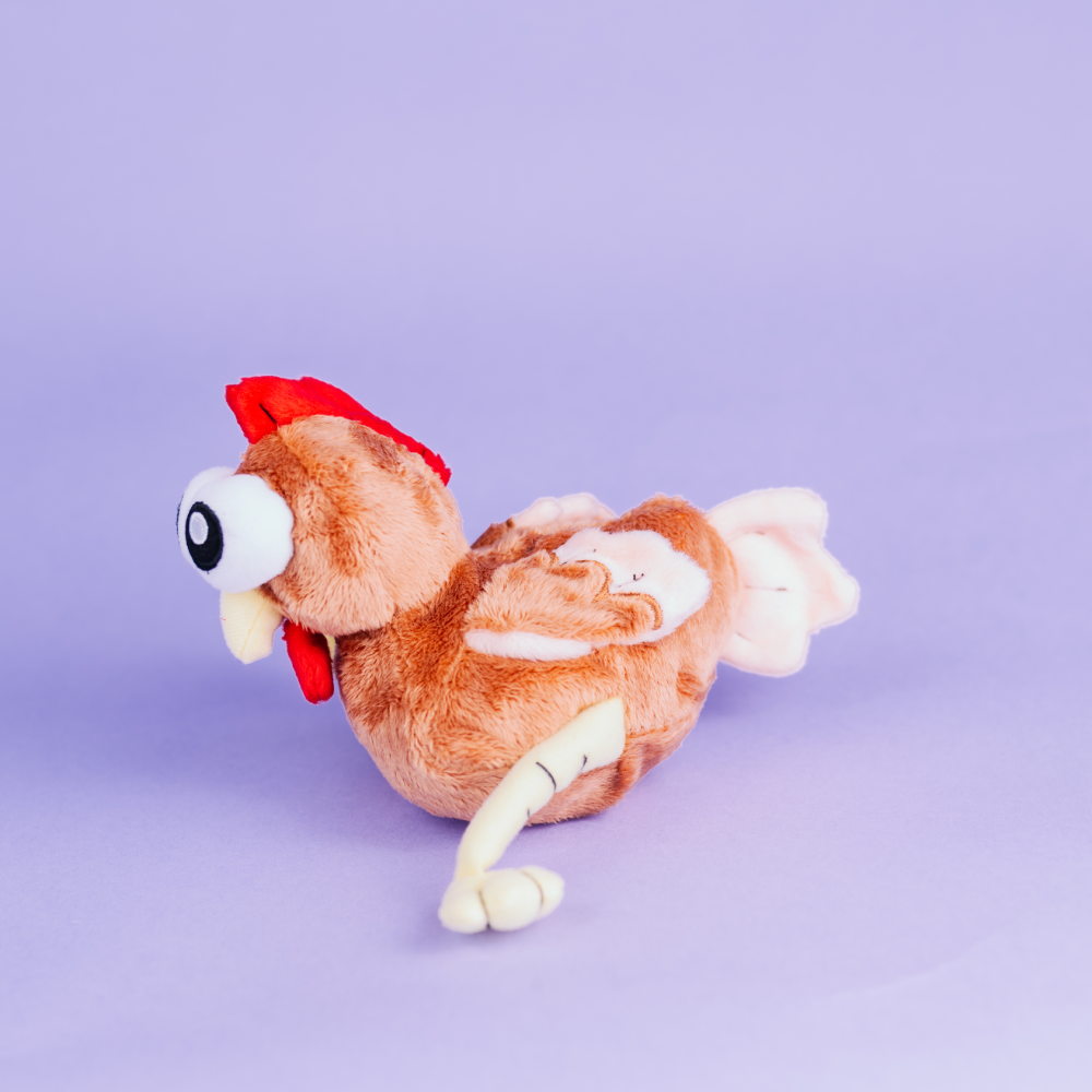 Flora the Chicken