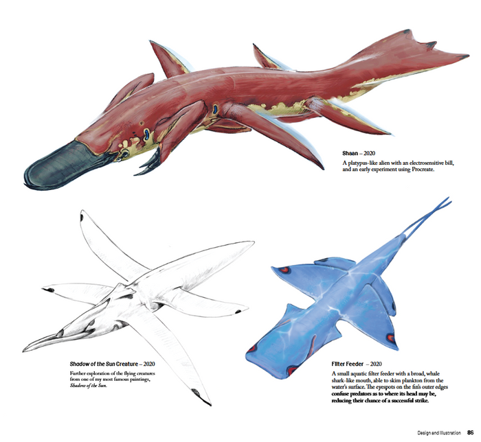 A page from the interior showing three marine creature concept sketches with captions: a reddish-brown platypus-like creature labeled 'Shaan' from 2020, a pencil sketch labeled 'Shadow of the Sun Creature' from 2020, and a blue creature labeled 'Filter Feeder' from 2020, on a white background.